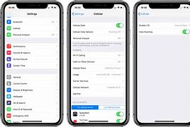 Image result for Data Roaming On iPhone 12