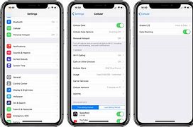 Image result for How to Find Data Roaming On iPhone