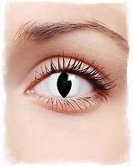 Image result for Cool Contact Lenses Cat Eye