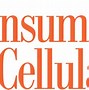 Image result for Consumer Cellular Products