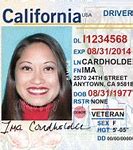 Image result for CA Real ID