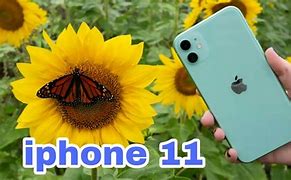 Image result for iPhone 11 First Look