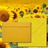 Image result for 6X9 Envelope Size