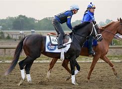 Image result for Belmont Stakes Horse Race