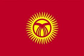 Image result for Kyrgyzstan Flag