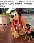 Image result for Funny Dog Thinking