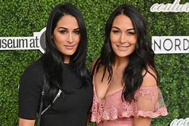 Image result for Bella Twins Affection