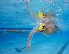 Image result for Proper Freestyle Swimming Technique
