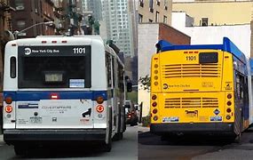 Image result for 7943 MTA Bus New York City