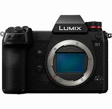 Image result for Lumix S1 Body