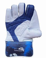 Image result for Cricket Wicket keeper Gloves