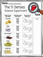 Image result for Mystery Science 5 Senses