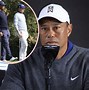 Image result for Tiger Woods Home Photos