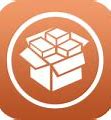Image result for Cydia for iPad 2 Icon