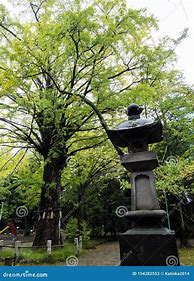 Image result for Akasaka Tokyo