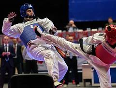 Image result for What Is Taekwondo