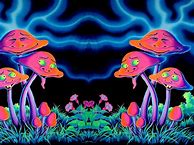 Image result for Trippy Mushroom Art