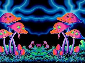 Image result for Trippy Weed and Mushrooms
