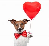 Image result for Cute Puppy Happy Valentine's Day