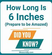 Image result for How Big Is 6 Inches Exampels