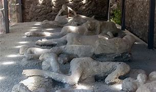 Image result for Pompeii Humans