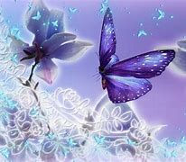 Image result for Butterfly Home Screen