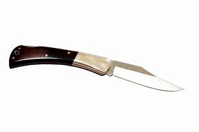 Image result for Wusthof Silverpoint Knife