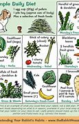 Image result for What Type of Rabbit Eats Sedges