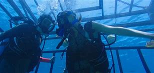 Image result for 37 Meters Down Underwater Scenes