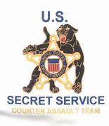Image result for Counter Assault Team Logo