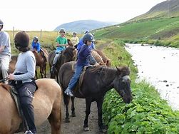 Image result for Horse Ride