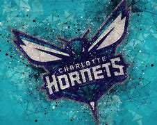 Image result for Old Charlotte Hornets