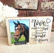 Image result for Deceased Horse Memory Cup