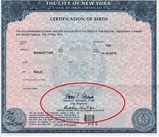 Image result for New York Birth Certificate