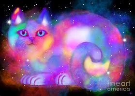 Image result for Celestial Cat Art