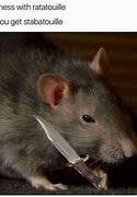 Image result for Funny Rat 1080X1080