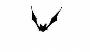 Image result for Cartoon Bat Wings Picture