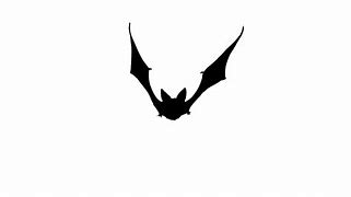 Image result for Bat Drawing Sketch