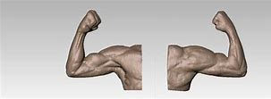 Image result for One Arm Muscle Cartoon
