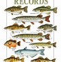 Image result for Freshwater Fish Clip Art