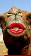Image result for red lipsticks funny