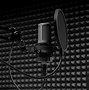 Image result for Audio Recording Screen