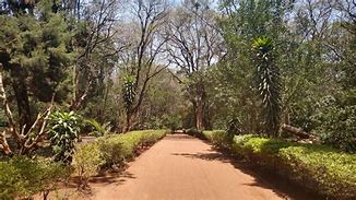 Image result for Gardens in Nairobi
