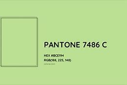 Image result for Pantone 7486 C