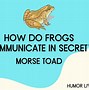 Image result for Funny Frog Jokes