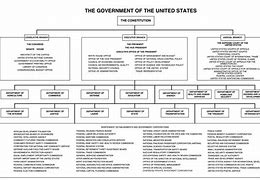 Image result for United States Government Organizational Chart