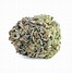 Image result for Blueberry OG Kush