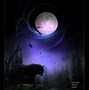 Image result for Lone Wolf Funny