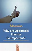 Image result for Opposable Thumb Meaning