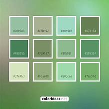 Image result for Summer Colors